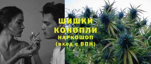 мяу мяу мука Кодинск