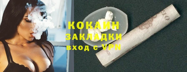 мдпв Козловка