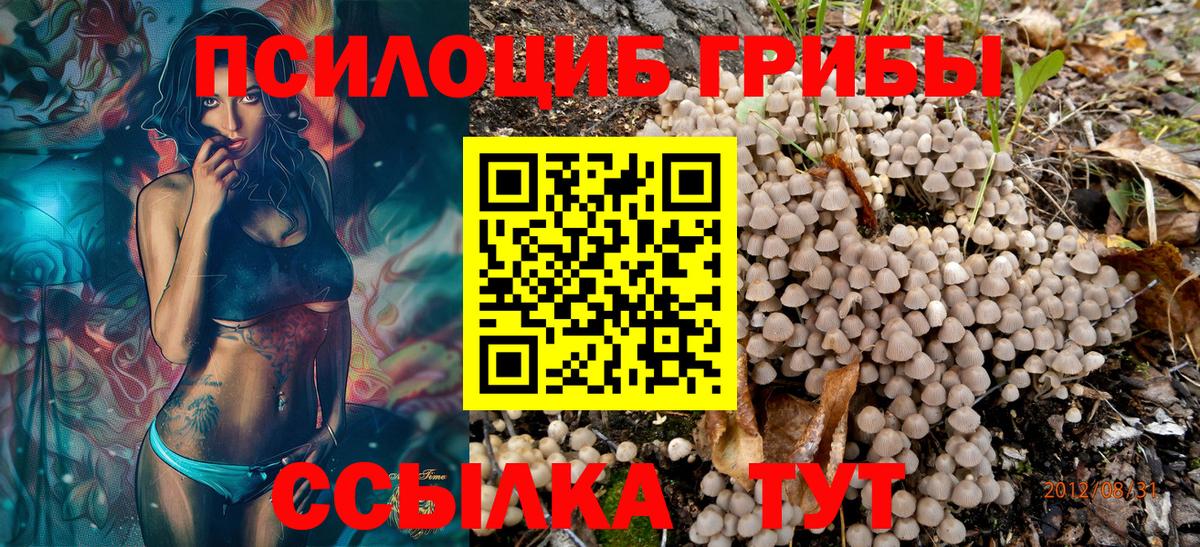 Галлюциногенные грибы мицелий  Вход с VPN  Ливны 