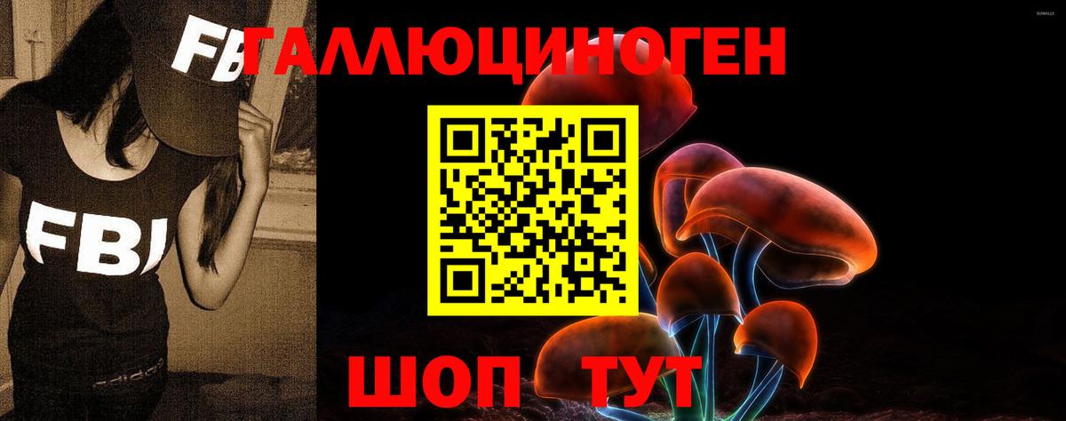 Псилоцибиновые грибы MAGIC MUSHROOMS Ливны