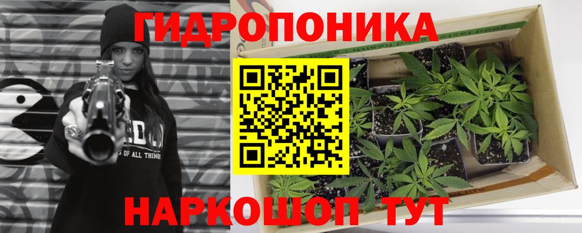 Бошки Шишки конопля Ливны